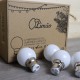 Lot de 12 ampoules LED LB-Light B22 1W Blanc Chaud Incassables (équivalence 15W) pour Guirlande Extérieure - Boîte